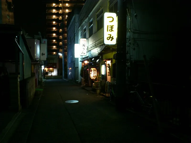 Ditch the Wings: How Izakaya-Style Small Plates Will Save Your Cocktail Hour